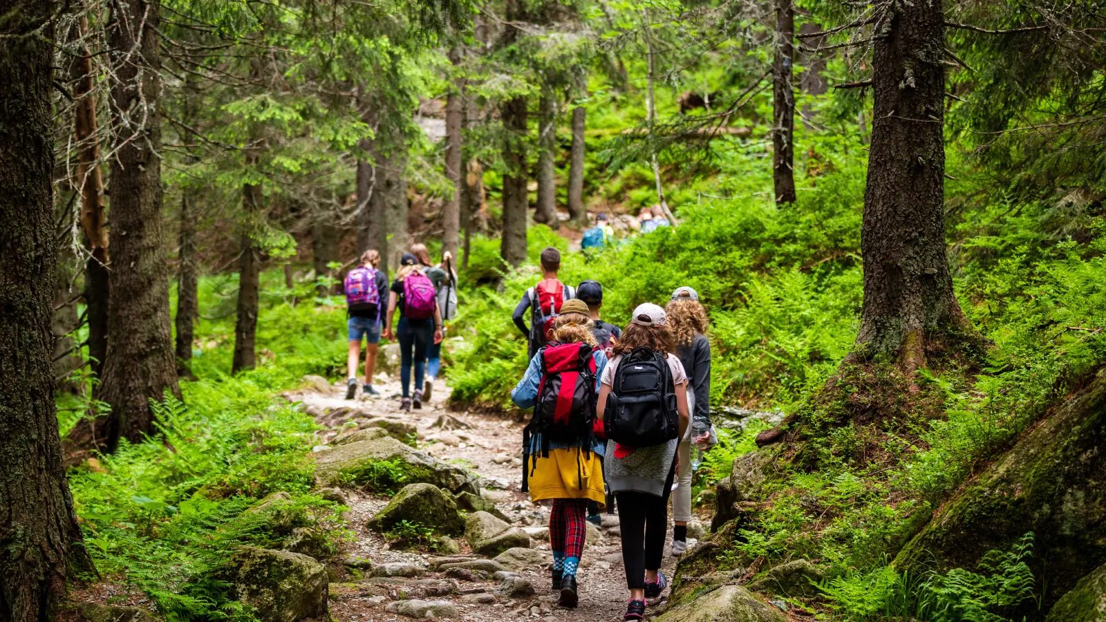 Children taking part in Herfstvakantie Adventure Sportkamp Jeugdland